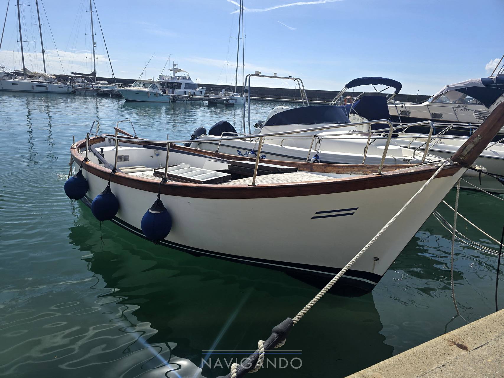 Sciallino 25