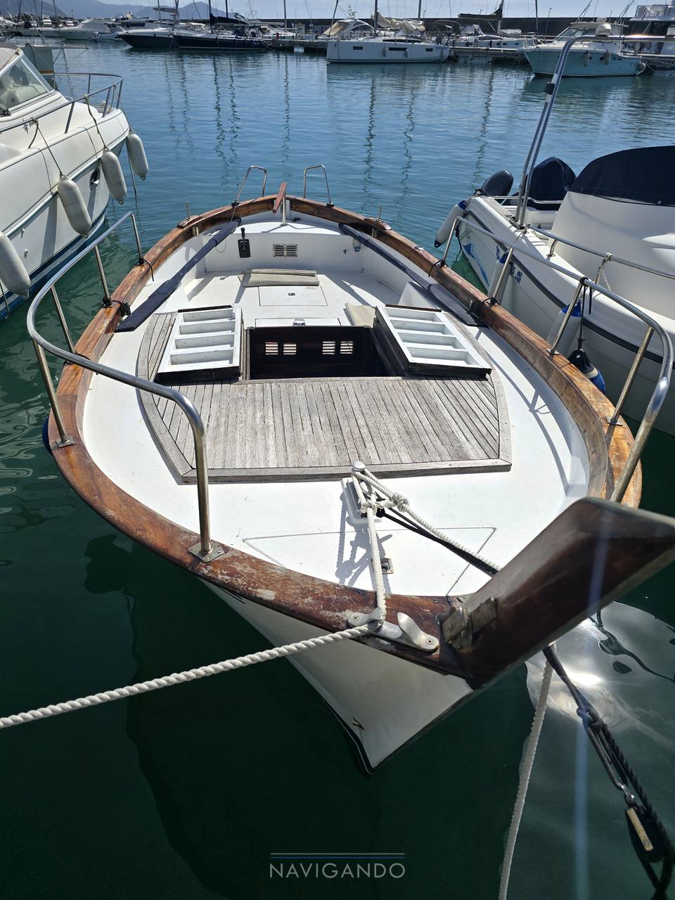 Sciallino 25
