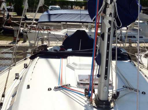 Del pardo Del pardo 46.3