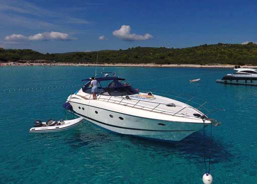 SUNSEEKER SUNSEEKER Predator 56