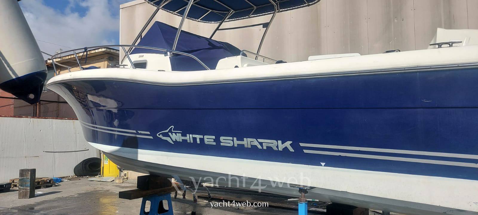 White shark 268 club