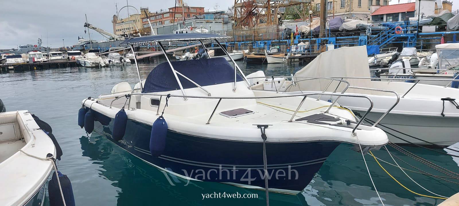 White shark 268 club Barco de motor usado para venta