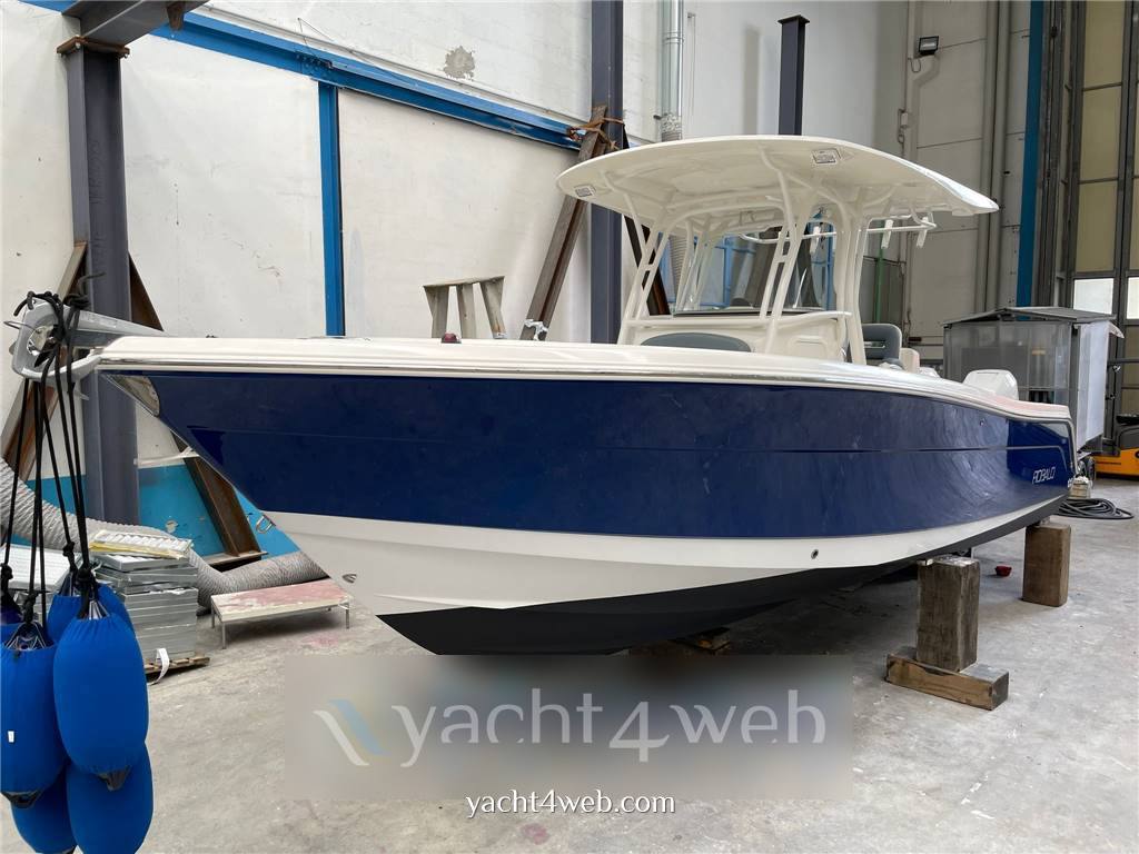 Robalo 300 Motor boat used for sale