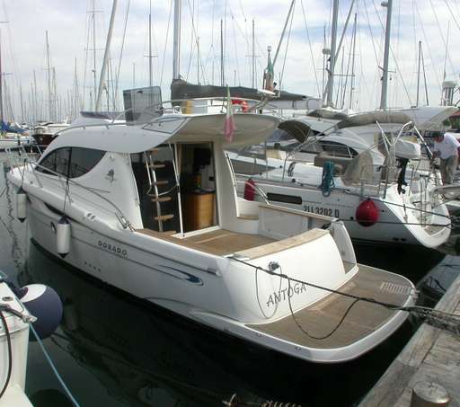 Sessa Sessa Dorado c 36