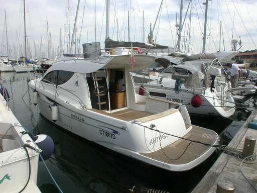 Sessa Sessa Dorado c 36