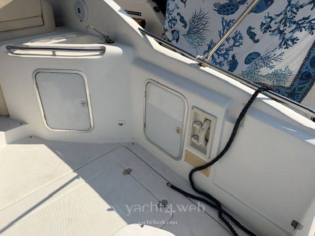 Sessa Oyster 27