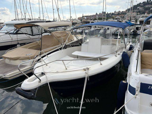 White shark 265