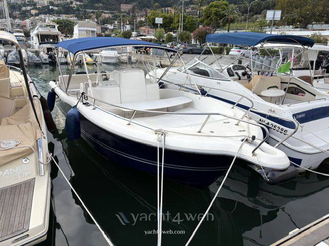 White shark 265