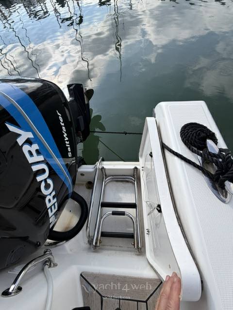 White shark 265