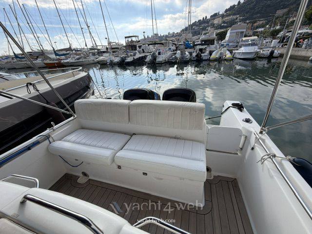 White shark 265