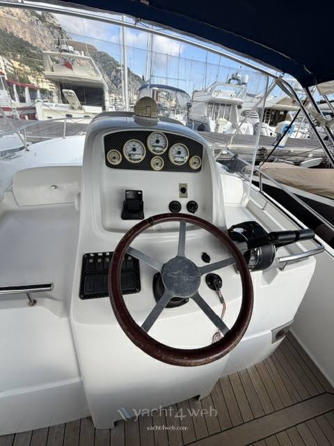 White shark 265