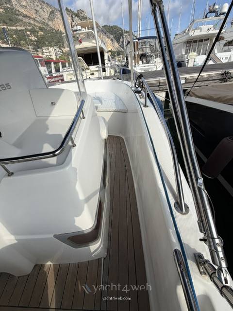 White shark 265