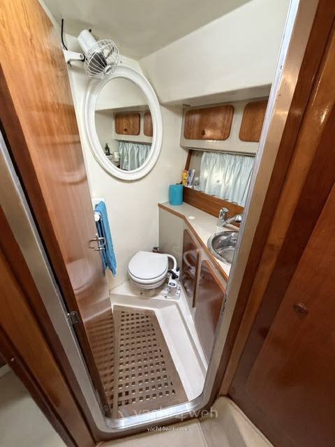 Azimut Az 35 照片