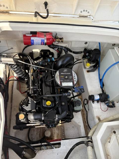 Bayliner 642 Motorboot