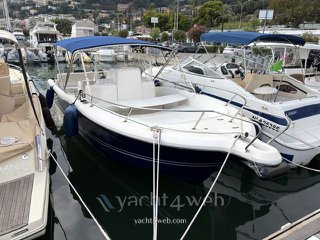 White shark 265