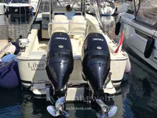 al-custom Al 30
