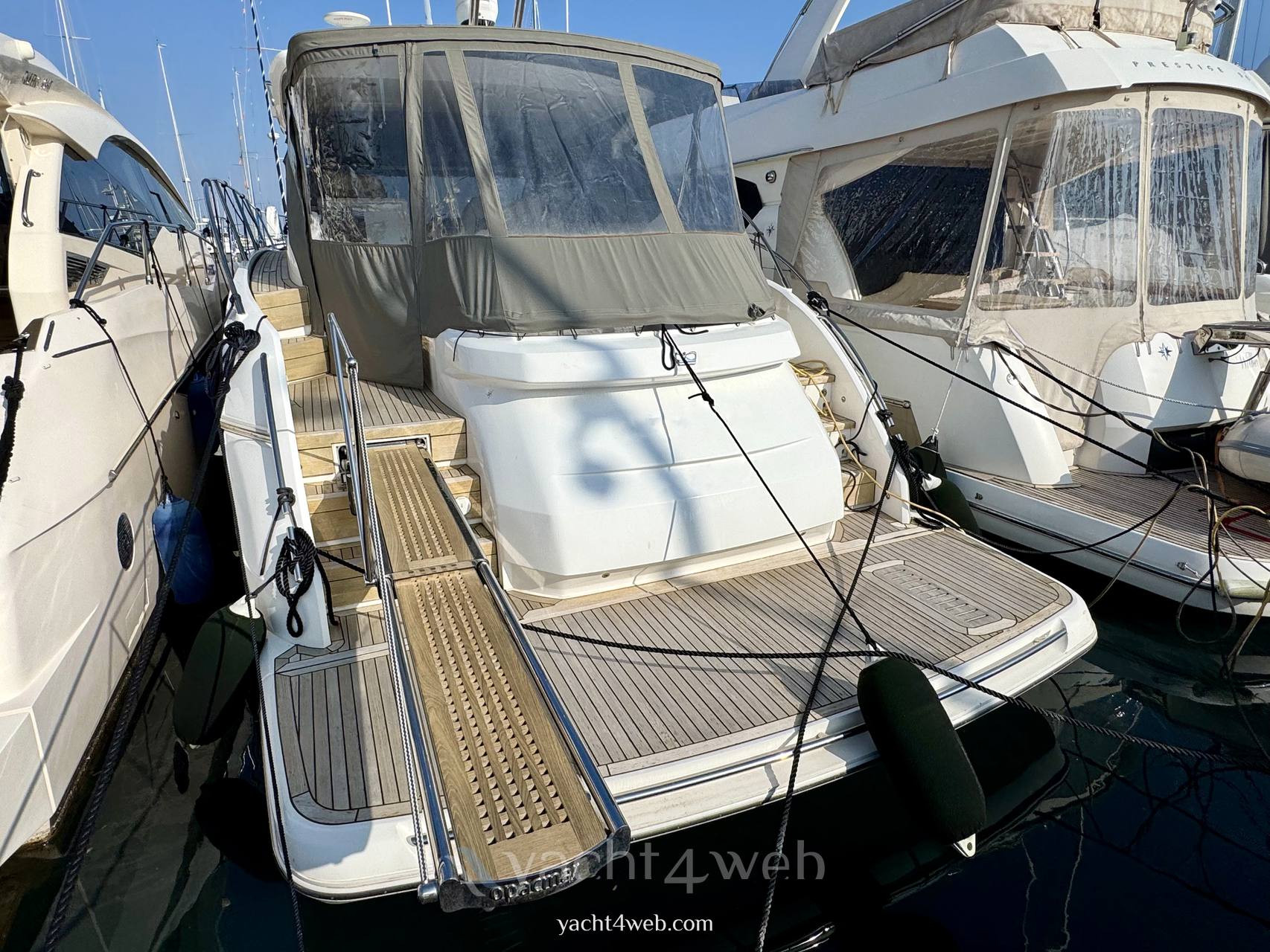 Princess V50